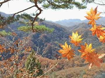 西安医疗事故律师排行,西安医疗事故律师排行榜